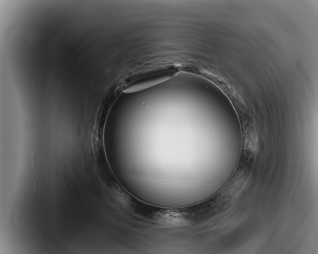 X0000087680518200705111303