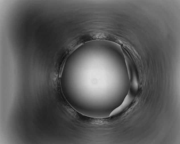 X0000087680521200705111303