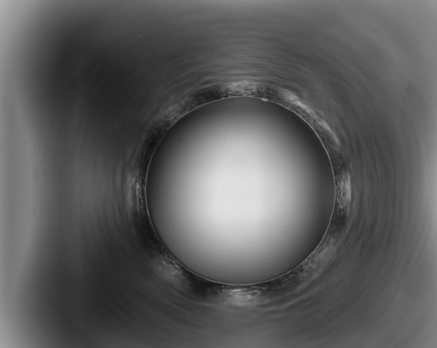 X0000087680522200705111303