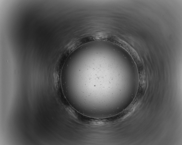 X0000087680523200705111303