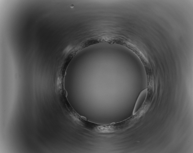 X0000087680526200705111303