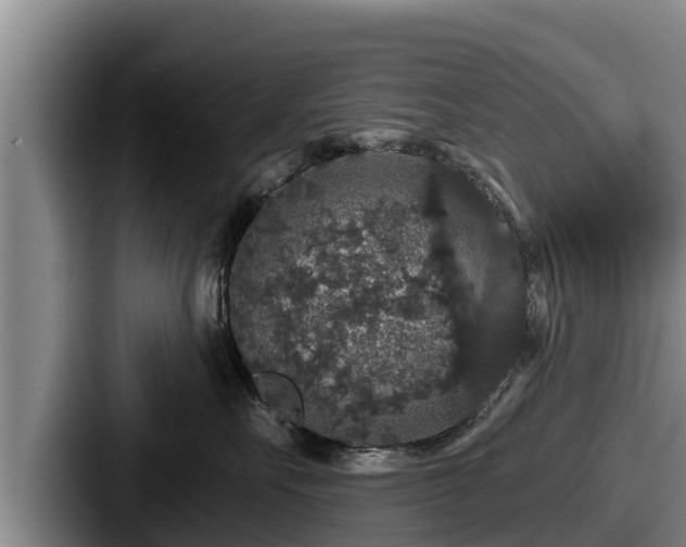 X0000087680527200705111303