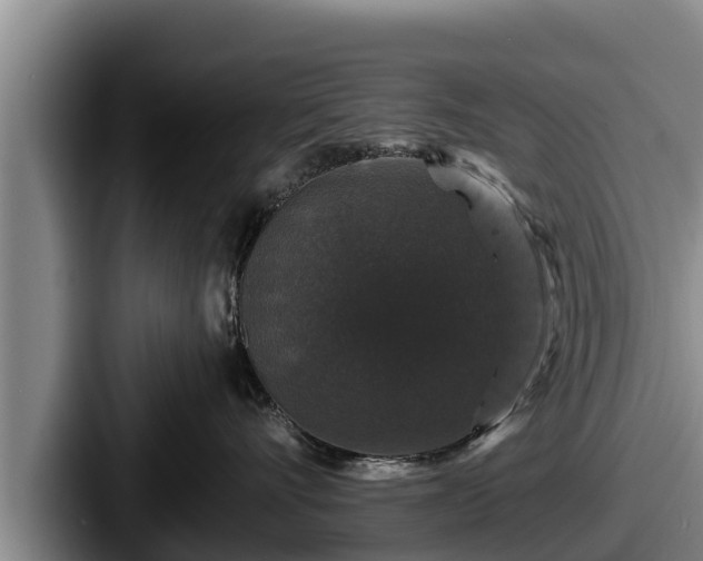 X0000087680528200705111303