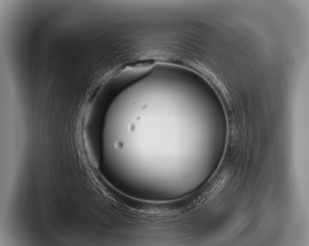 X0000087680529200705111302