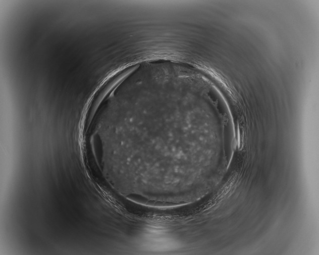 X0000087680531200705111302