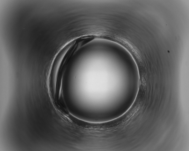 X0000087680532200705111302