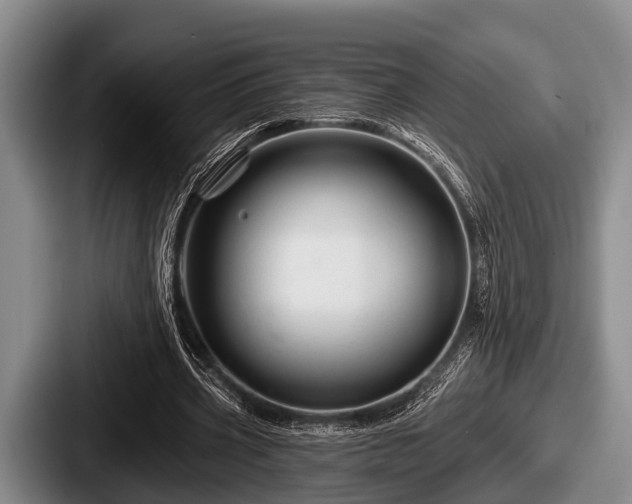 X0000087680533200705111302