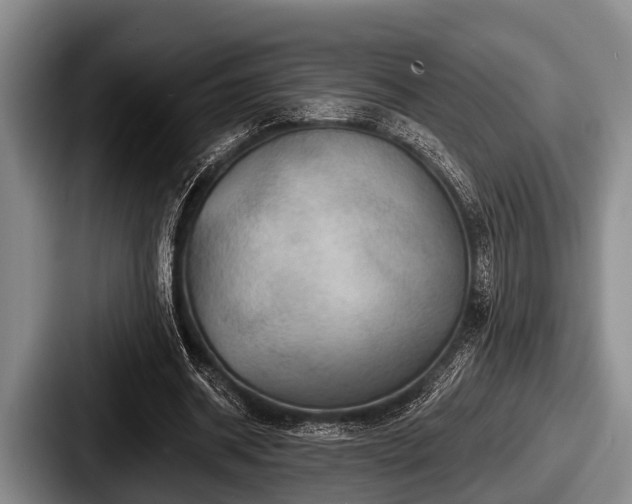 X0000087680534200705111302