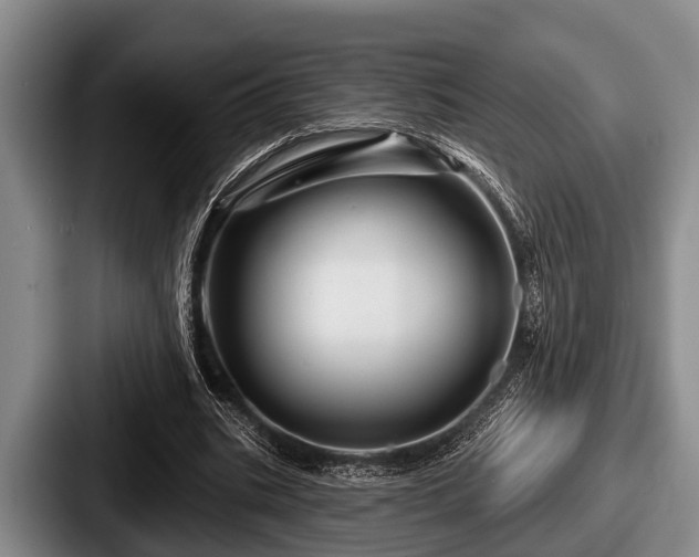 X0000087680535200705111302