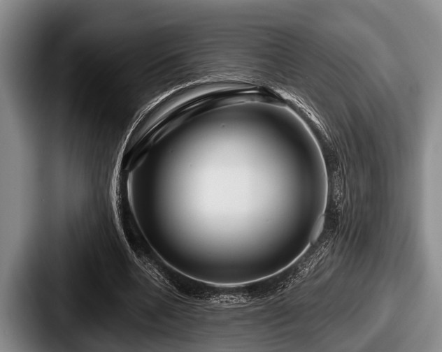 X0000087680536200705111302