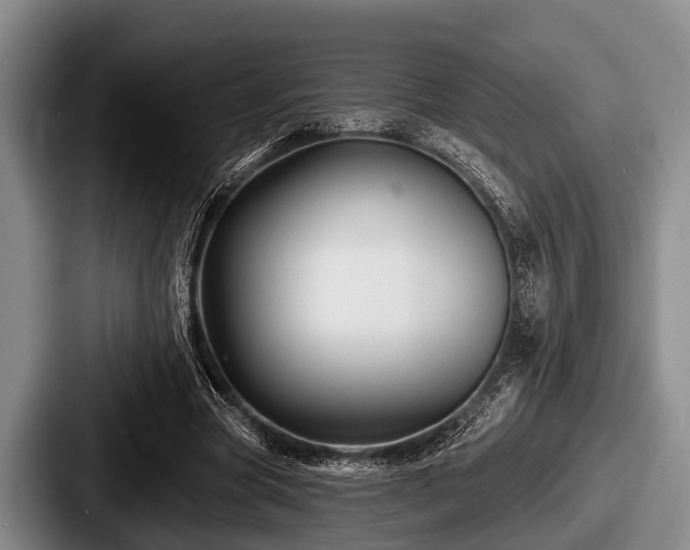 X0000087680537200705111302