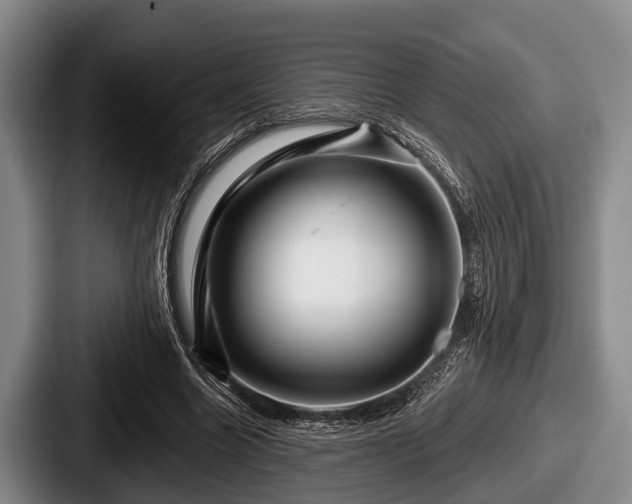 X0000087680538200705111302