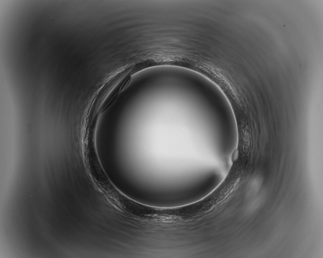 X0000087680539200705111302
