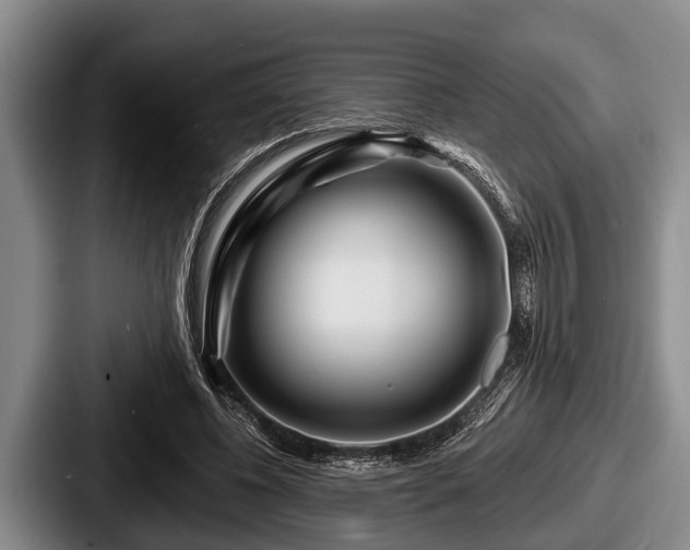X0000087680540200705111302
