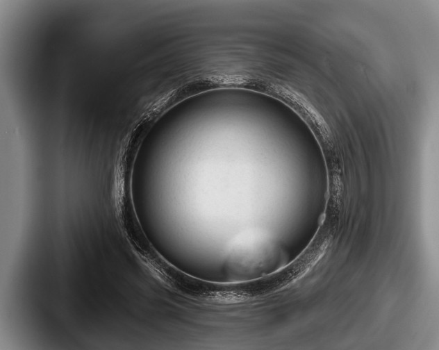 X0000087680541200705111302