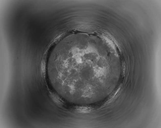 X0000087680542200705111302