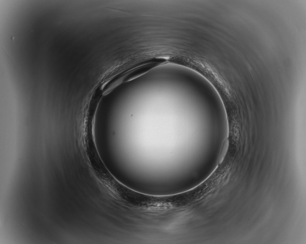 X0000087680543200705111302
