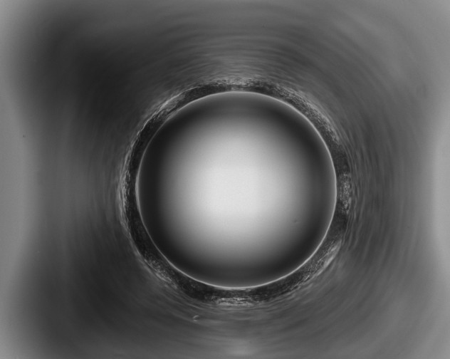 X0000087680544200705111302