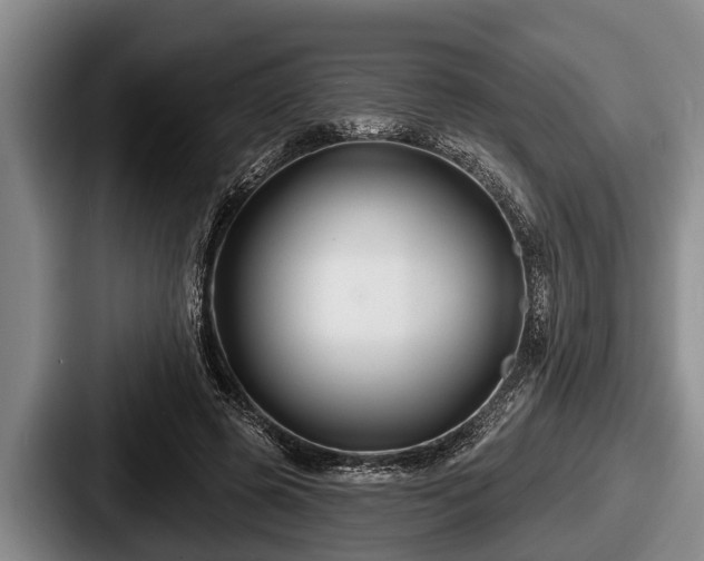 X0000087680545200705111302