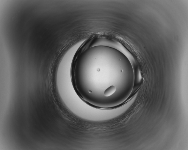 X0000087680546200705111302