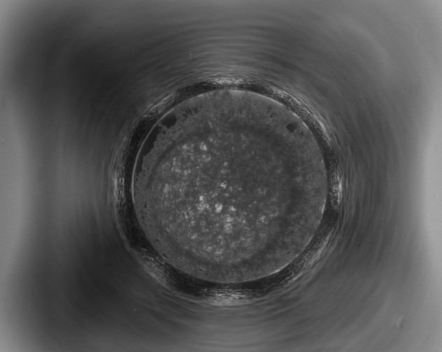 X0000087680547200705111302
