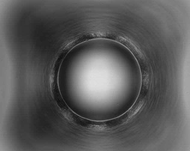 X0000087680548200705111302