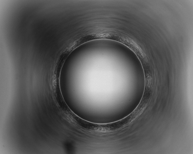 X0000087680549200705111302