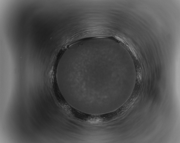 X0000087680551200705111302