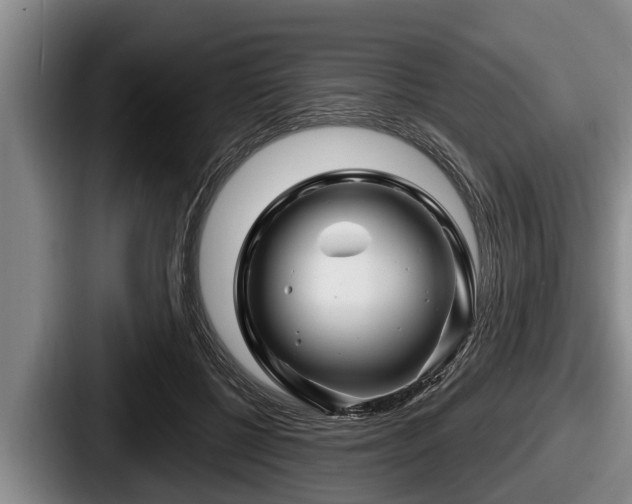 X0000087680552200705111302