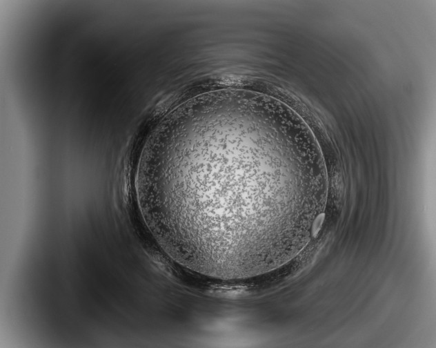 X0000087680554200705111302