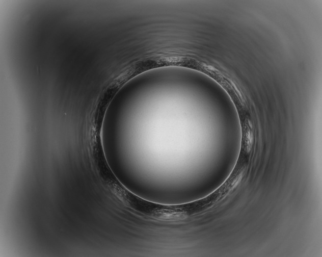 X0000087680555200705111302