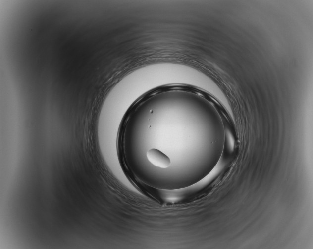 X0000087680556200705111302