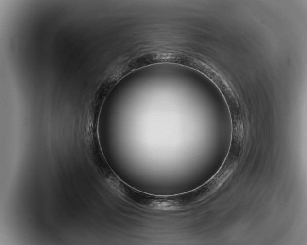 X0000087680557200705111303