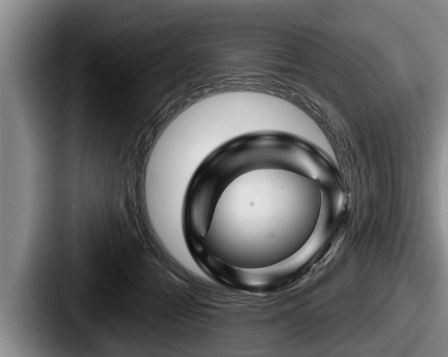 X0000087680558200705111303