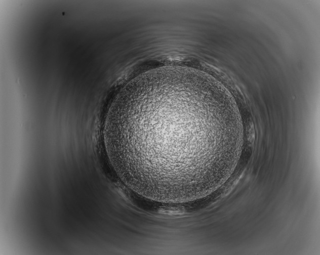 X0000087680559200705111303