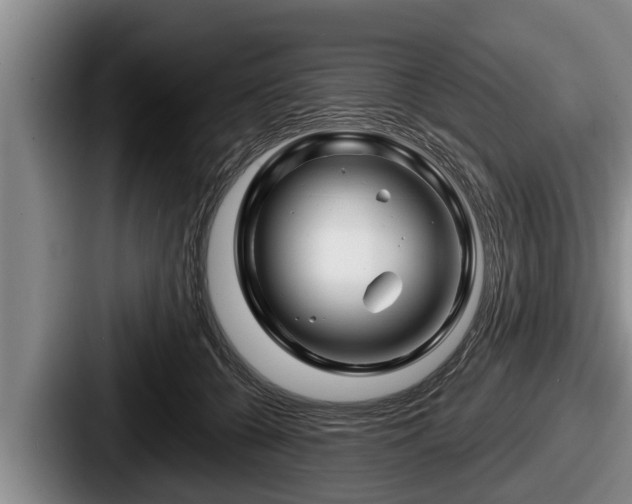 X0000087680560200705111303