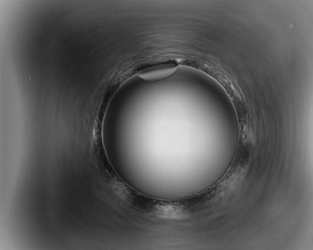 X0000087680561200705111303