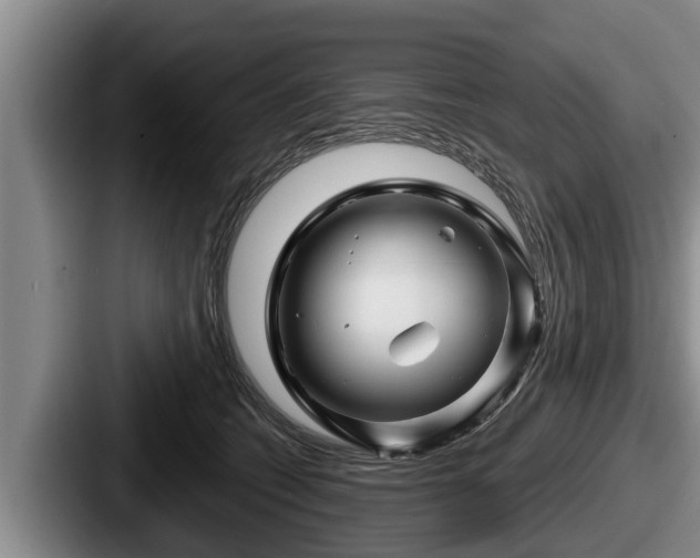 X0000087680562200705111303