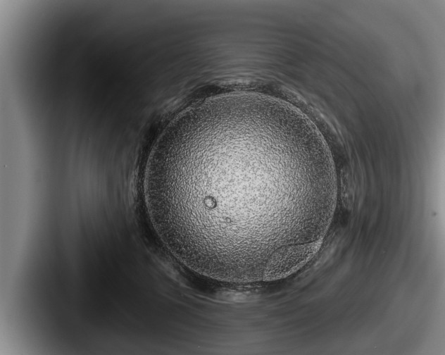 X0000087680563200705111303