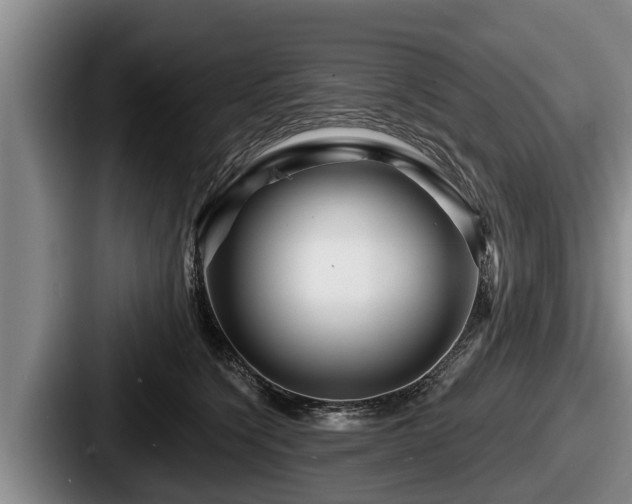 X0000087680564200705111303