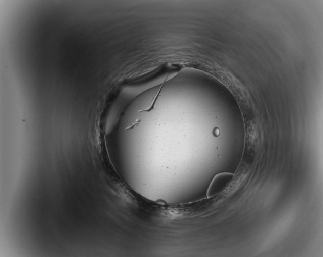 X0000087680565200705111303