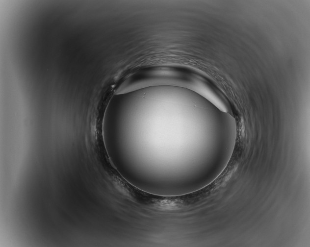 X0000087680566200705111303