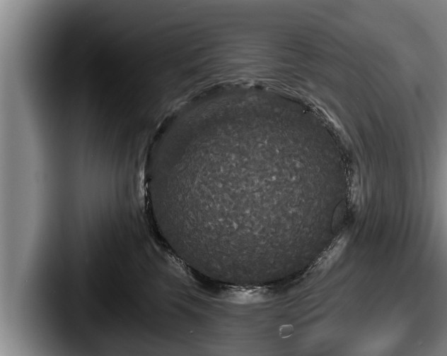 X0000087680569200705111303