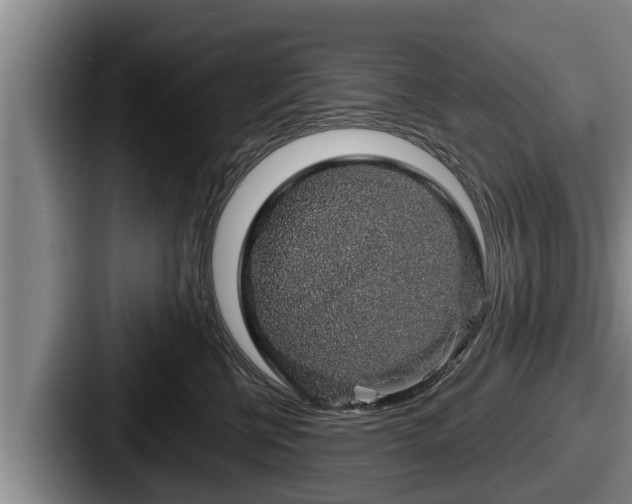 X0000087680570200705111303