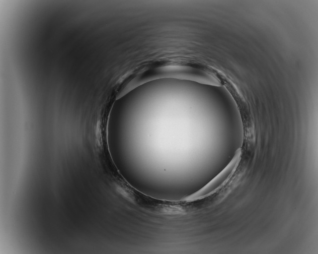 X0000087680572200705111303