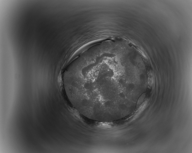 X0000087680573200705111303