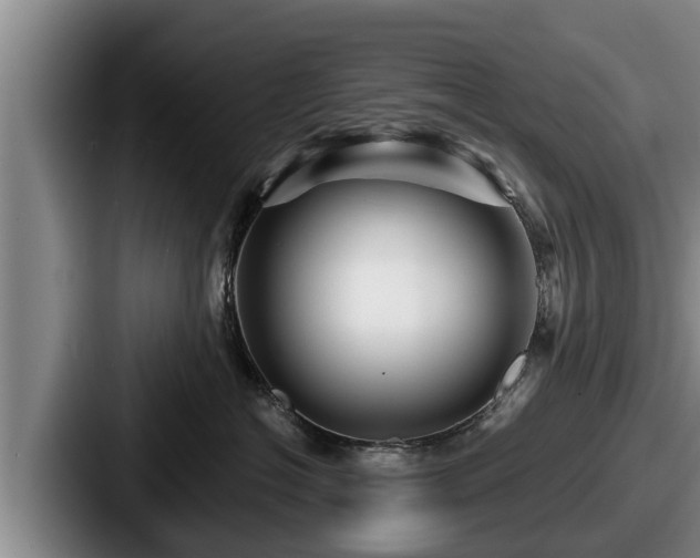 X0000087680574200705111303