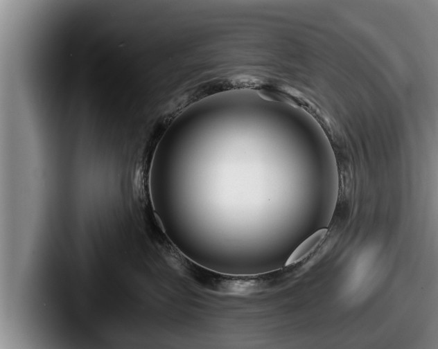 X0000087680575200705111303