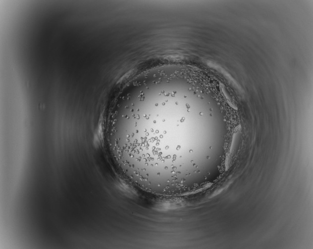 X0000087680576200705111303