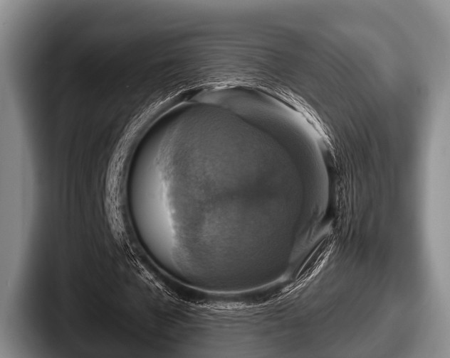 X0000087680577200705111302